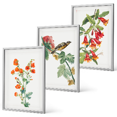 Set di 3 quadri Fiori dipinti e un uccello