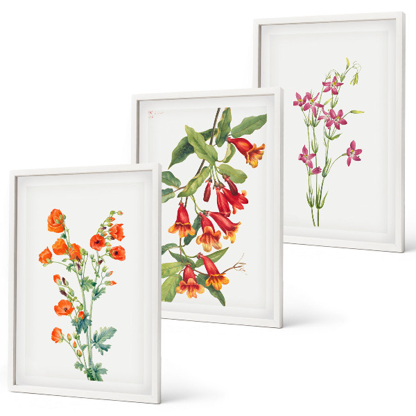 Composizione di quadri dipinto floreale vintage retrò