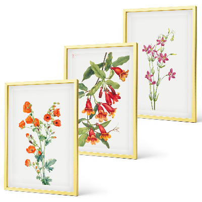 Composizione di quadri dipinto floreale vintage retrò