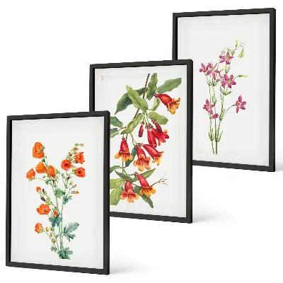 Composizione di quadri con dipinto floreale vintage retrò