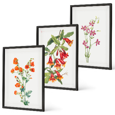 Composizione di quadri dipinto floreale vintage retrò