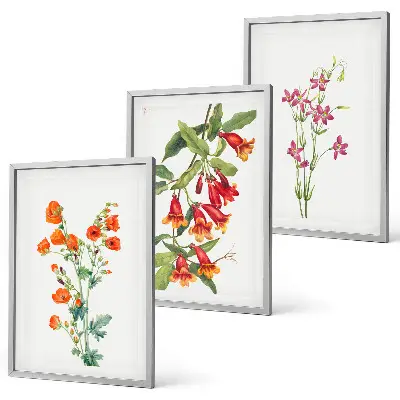 Composizione di quadri con dipinto floreale vintage retrò