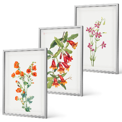 Composizione di quadri dipinto floreale vintage retrò