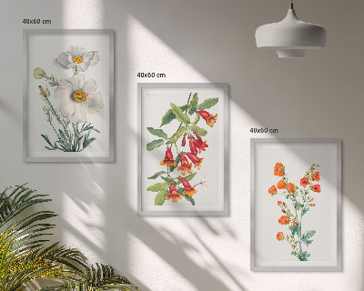 Set di quadri incorniciati Composizioni floreali in stile retrò