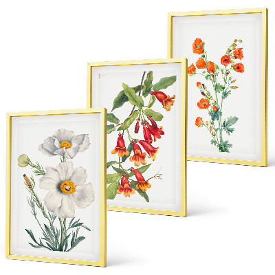 Set di quadri incorniciati Composizioni floreali in stile retrò