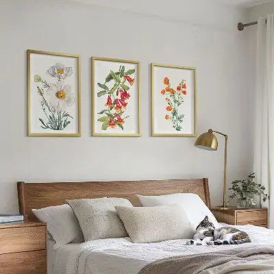 Set di quadri incorniciati con composizioni floreali in stile retrò