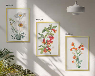 Set di quadri incorniciati Composizioni floreali in stile retrò