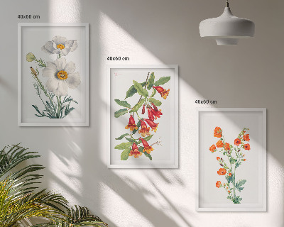 Set di quadri incorniciati Composizioni floreali in stile retrò