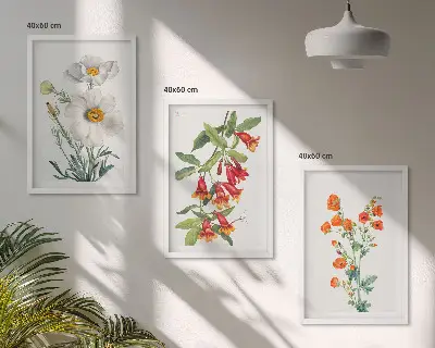 Set di quadri incorniciati con composizioni floreali in stile retrò