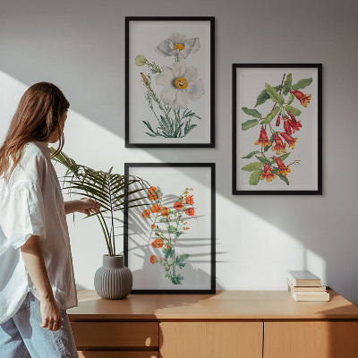 Set di quadri incorniciati Composizioni floreali in stile retrò
