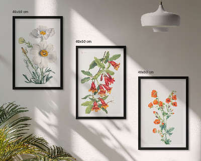 Set di quadri incorniciati Composizioni floreali in stile retrò