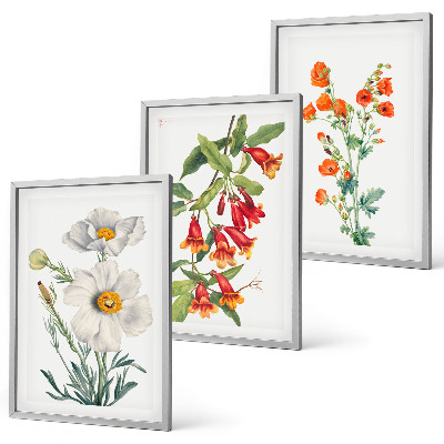 Set di quadri incorniciati Composizioni floreali in stile retrò