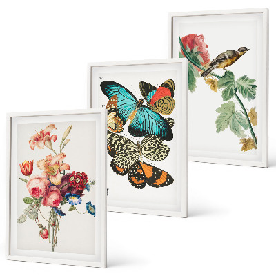 Set di 3 quadri Fiori farfalle uccello pastello