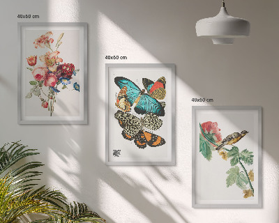 Set di 3 quadri Fiori farfalle uccello pastello