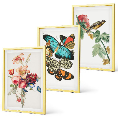 Set di 3 quadri Fiori farfalle uccello pastello