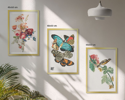 Set di 3 quadri Fiori farfalle uccello pastello