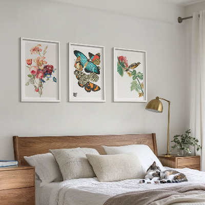 Set di 3 quadri Fiori farfalle uccello pastello