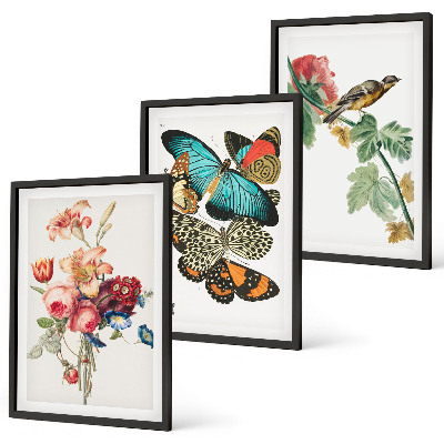Set di 3 quadri Fiori farfalle uccello pastello
