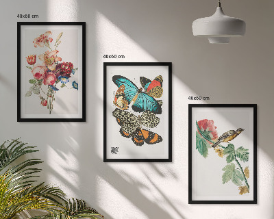 Set di 3 quadri Fiori farfalle uccello pastello