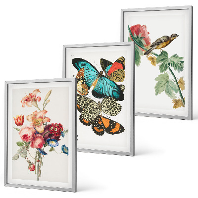 Set di 3 quadri Fiori farfalle uccello pastello