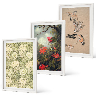Composizione di quadri Fiori uccelli natura