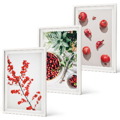 Set di 3 quadri Frutti rossi delle piante minimalismo