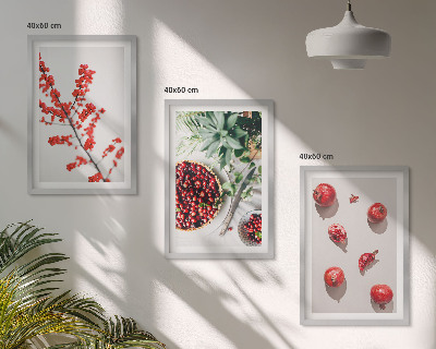 Set di 3 quadri Frutti rossi delle piante minimalismo