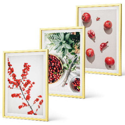 Set di 3 quadri Frutti rossi delle piante minimalismo