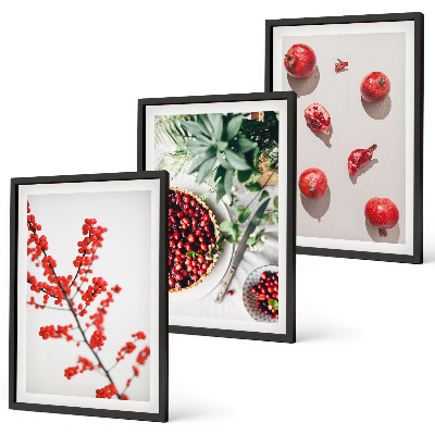 Set di 3 quadri Frutti rossi delle piante minimalismo