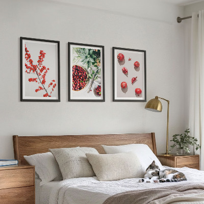 Set di 3 quadri Frutti rossi delle piante minimalismo