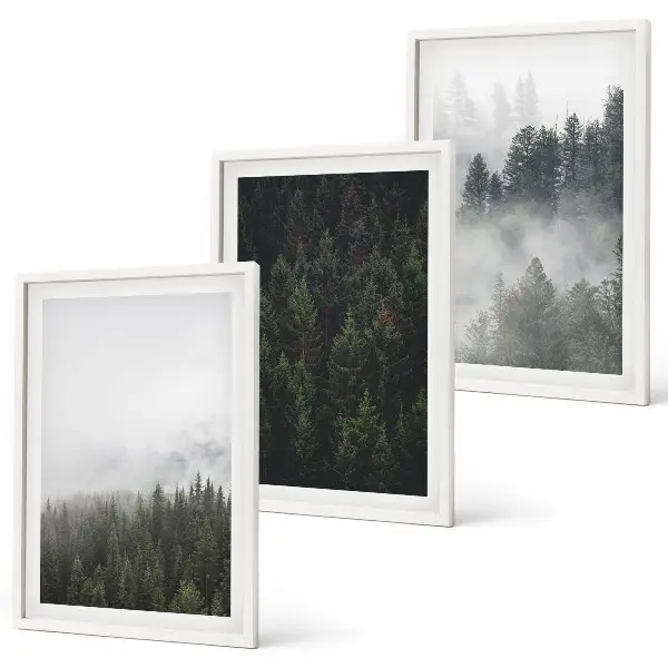 Set di quadri incorniciati con stampa di foreste verdi nella nebbia