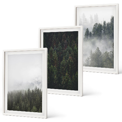 Set di quadri incorniciati Foreste verdi nebbia natura