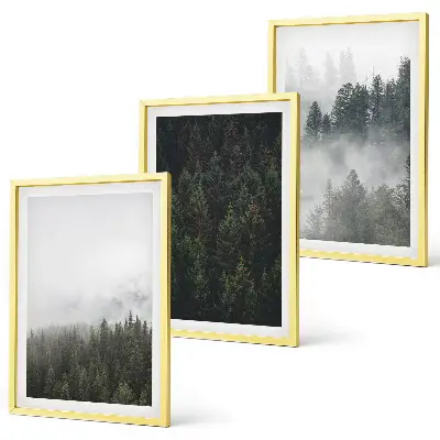 Set di quadri incorniciati con stampa di foreste verdi nella nebbia