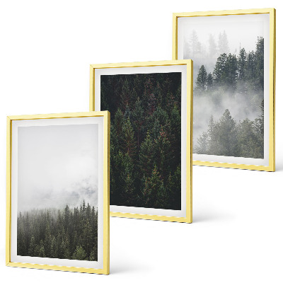 Set di quadri incorniciati Foreste verdi nebbia natura