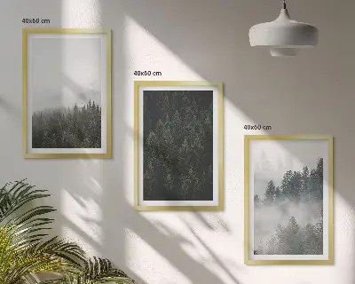 Set di quadri incorniciati con stampa di foreste verdi nella nebbia