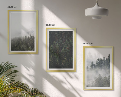 Set di quadri incorniciati Foreste verdi nebbia natura