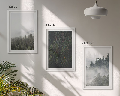 Set di quadri incorniciati Foreste verdi nebbia natura