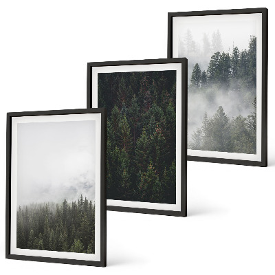 Set di quadri incorniciati Foreste verdi nebbia natura