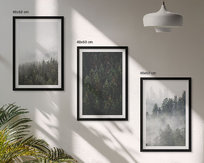 Set di quadri incorniciati Foreste verdi nebbia natura