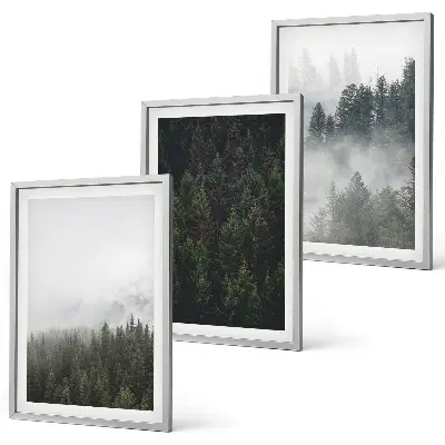 Set di quadri incorniciati con stampa di foreste verdi nella nebbia