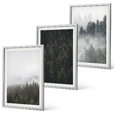 Set di quadri incorniciati Foreste verdi nebbia natura