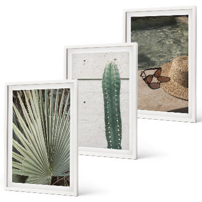 Set di quadri incorniciati Accessori per piante tropicali