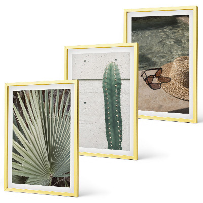 Set di quadri incorniciati Accessori per piante tropicali