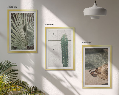 Set di quadri incorniciati Accessori per piante tropicali