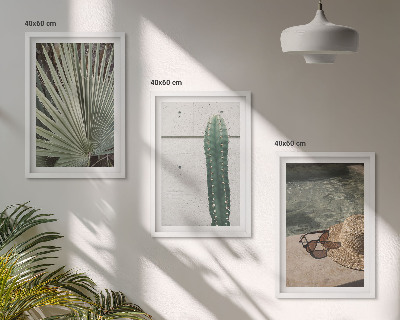 Set di quadri incorniciati Accessori per piante tropicali