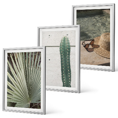 Set di quadri incorniciati Accessori per piante tropicali