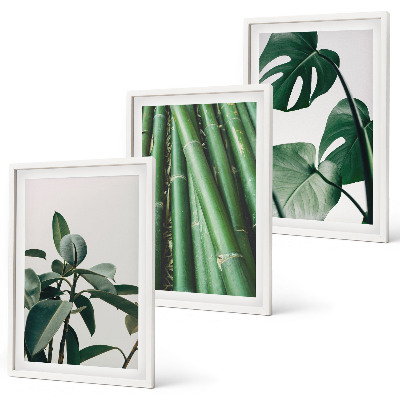 Composizione di quadri Steli di bambù e foglie di monstera
