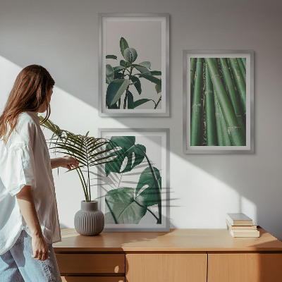Composizione di quadri Steli di bambù e foglie di monstera
