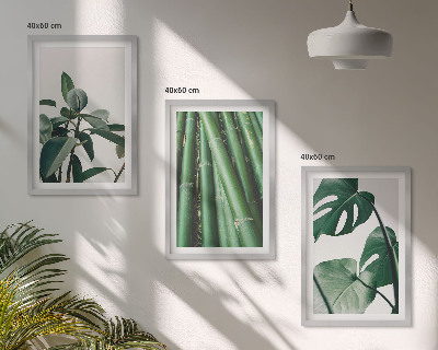Composizione di quadri Steli di bambù e foglie di monstera