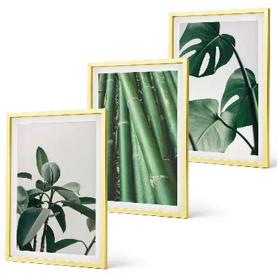 Composizione di quadri con steli di bambù e foglie di monstera